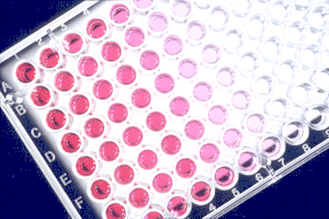 alternativas vitro
